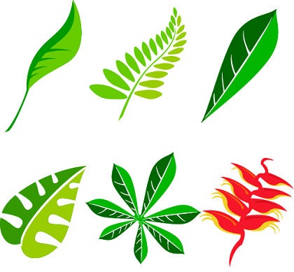 Free Leaf Vector Art Package Preview