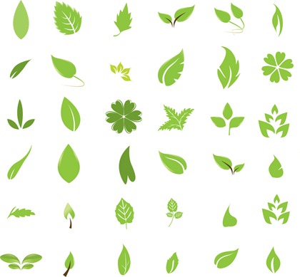 Free Vector Downloads on Free Vector Leaves   Free Vector Graphics   All Free Web Resources For