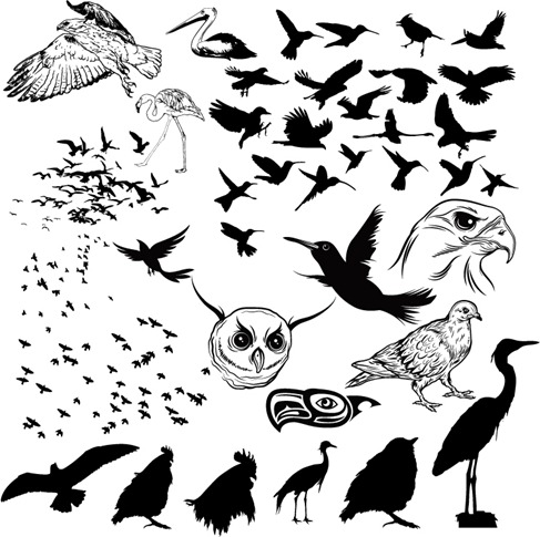 Free Vector Birds on Vector Birds Silhouettes   Free Vector Graphics   All Free Web