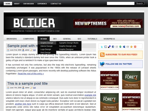 Free WordPress Theme - Bliver Preview