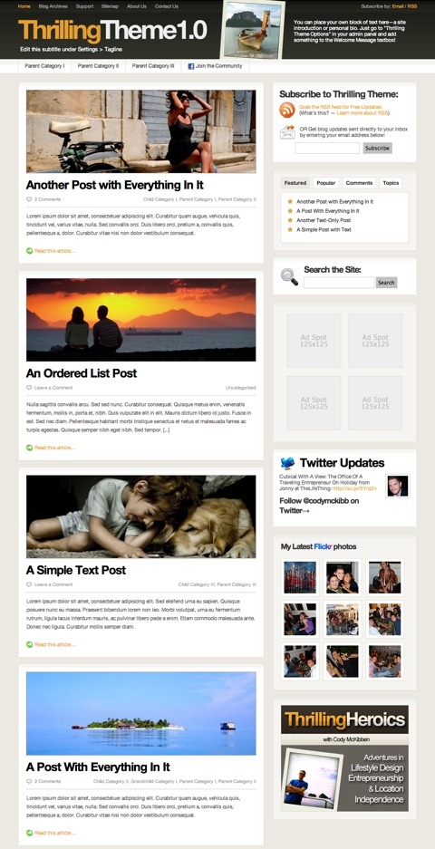 Free WordPress Theme - ThrillingTheme Preview