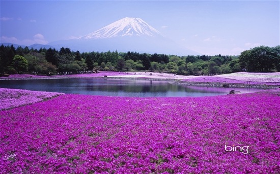 Bing's Best: Japan Windows 7 Theme | Wallpapers | All Free Web