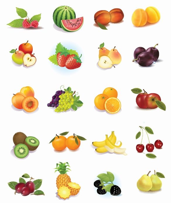 clipart of all fruits - photo #5