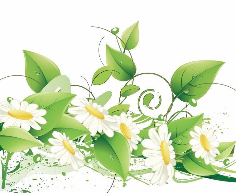 free elegant flower clipart - photo #24