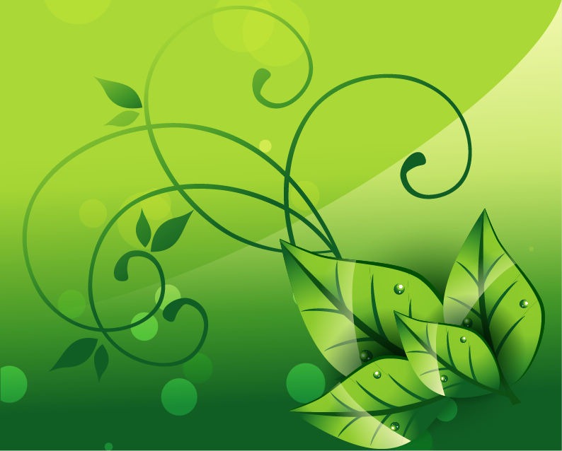 nature clipart wallpaper - photo #20