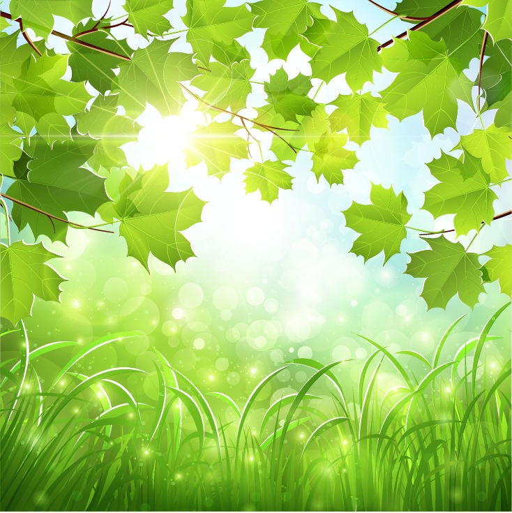 green nature clipart - photo #6