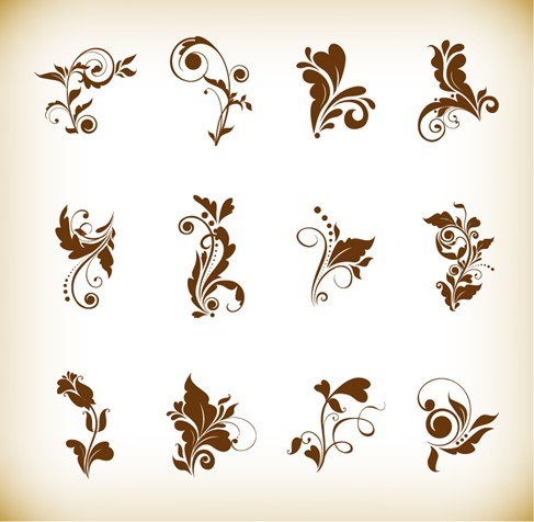 Set of Beautiful Floral Elements Vector Illustration