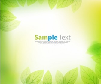Green Leaves Abstract Background