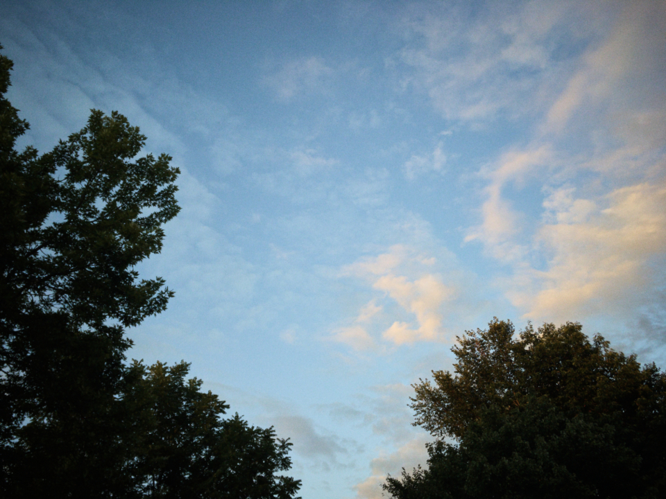 Sky Trees