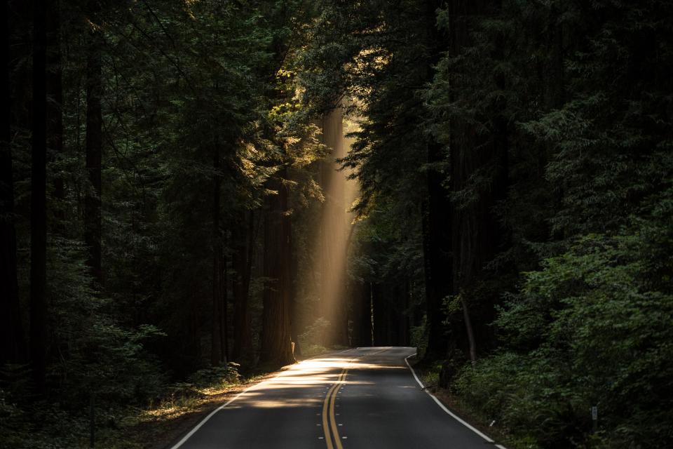 Nature Roads