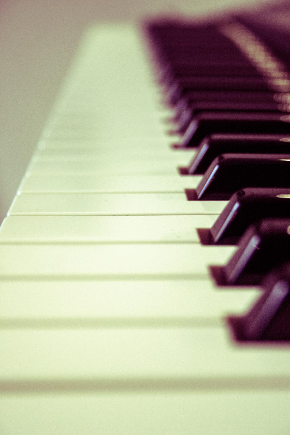 Keyboard Organ