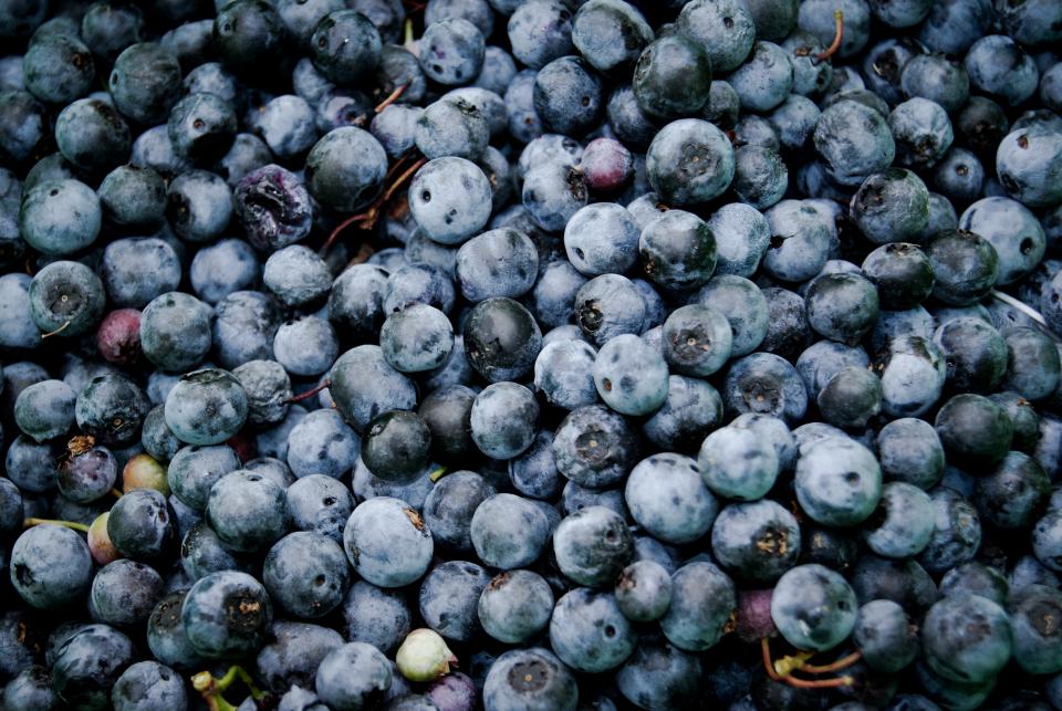 Blueberries Fruits