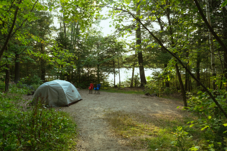 Campsite Nature