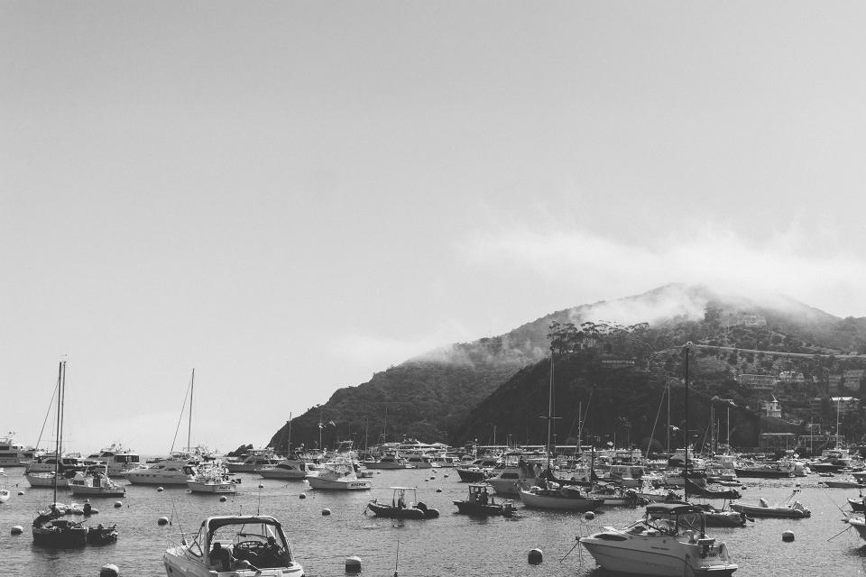 Catalina Boats