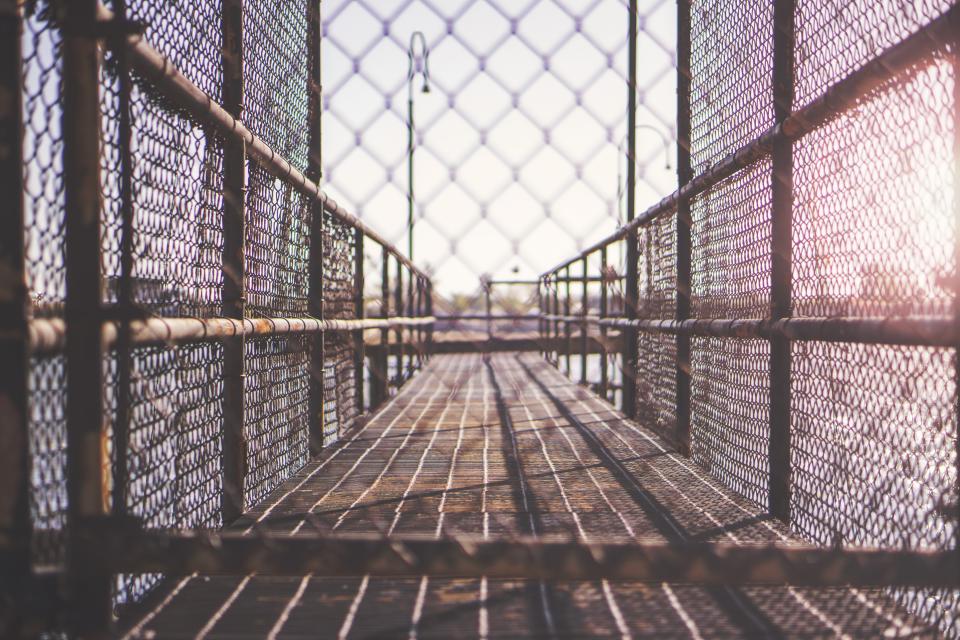 Fence Cage