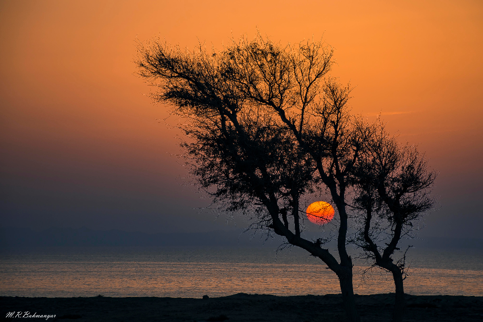 Iran Gheshm Island Sunset