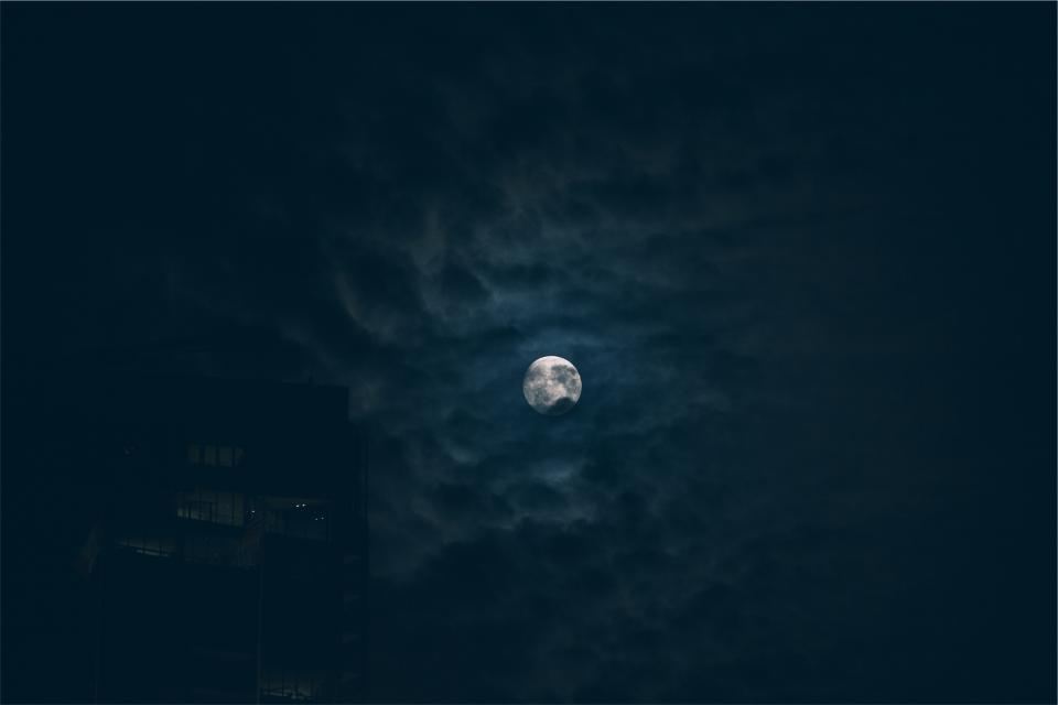 Moon Night