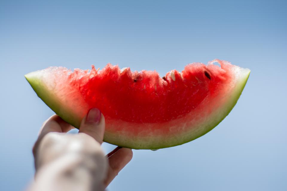 Watermelon Fruit