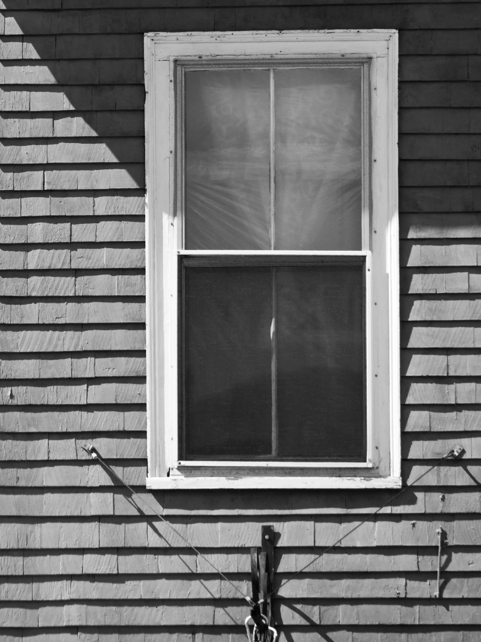 Window Home