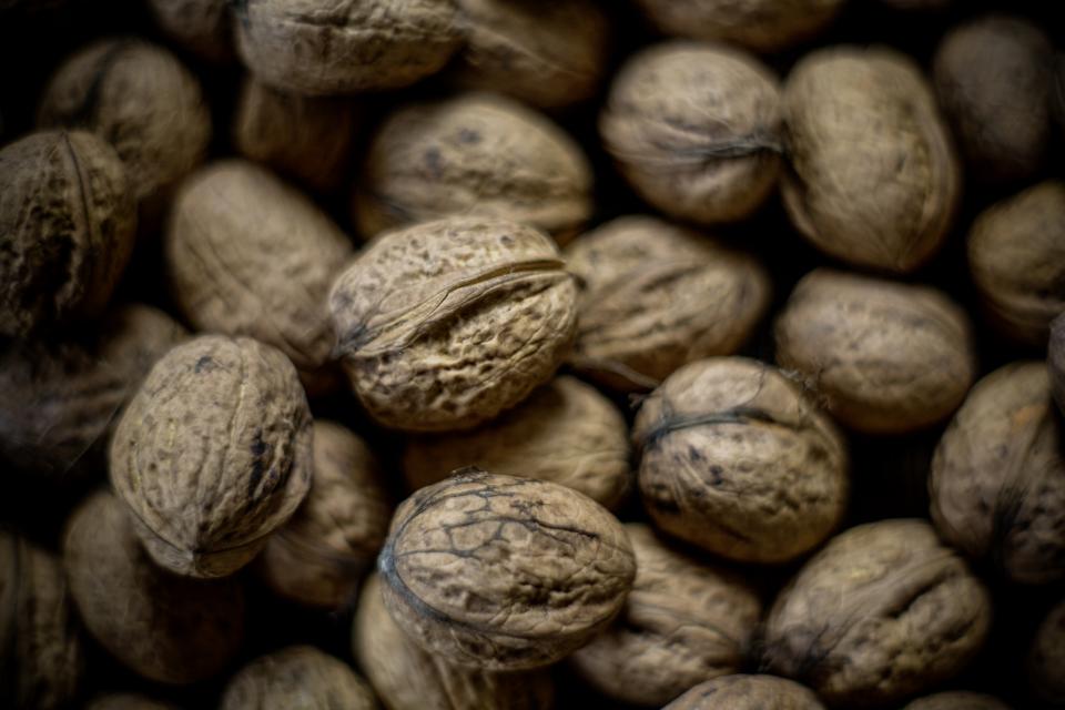 Seeds Walnut