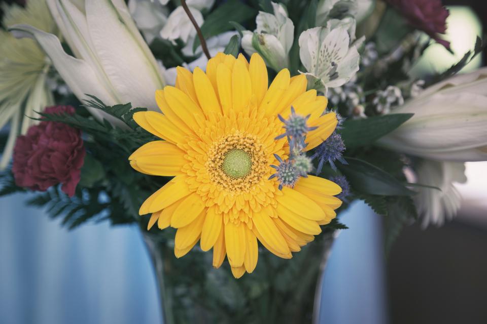 Flower Yellow