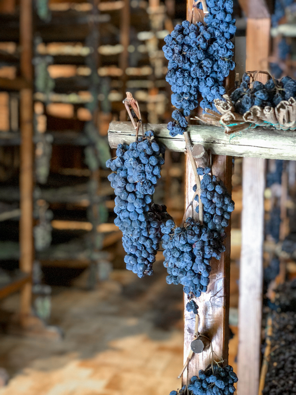 Grapes Drying