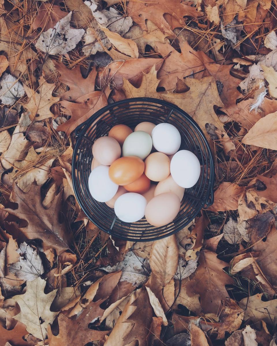 Basket Eggs