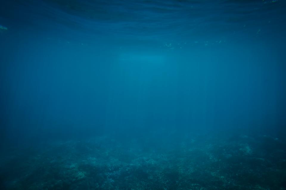 Under Water Ocean