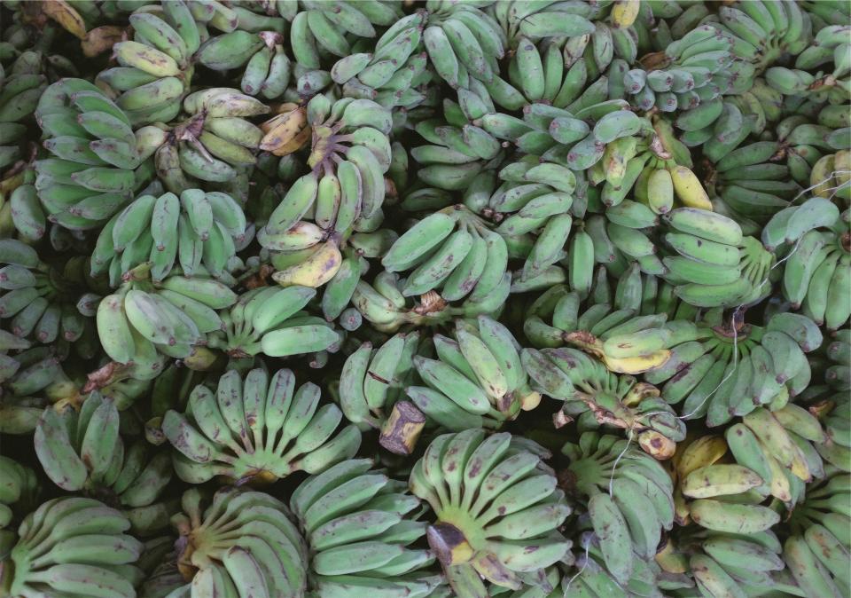 Plantains Bananas