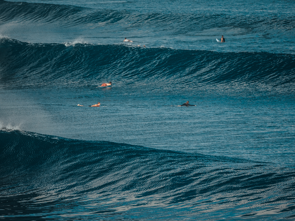 Surfing Ocean