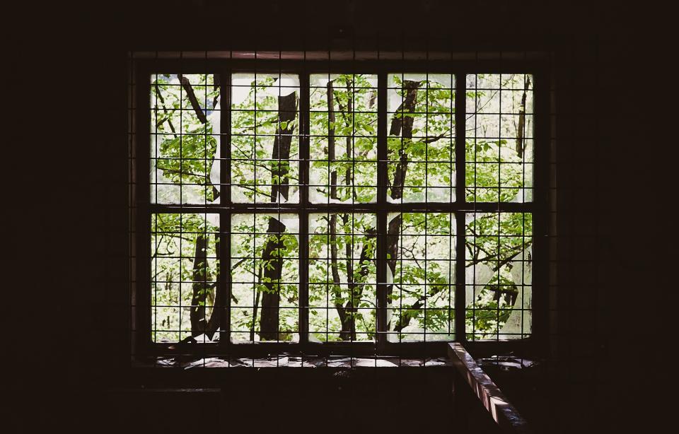 Caged Window