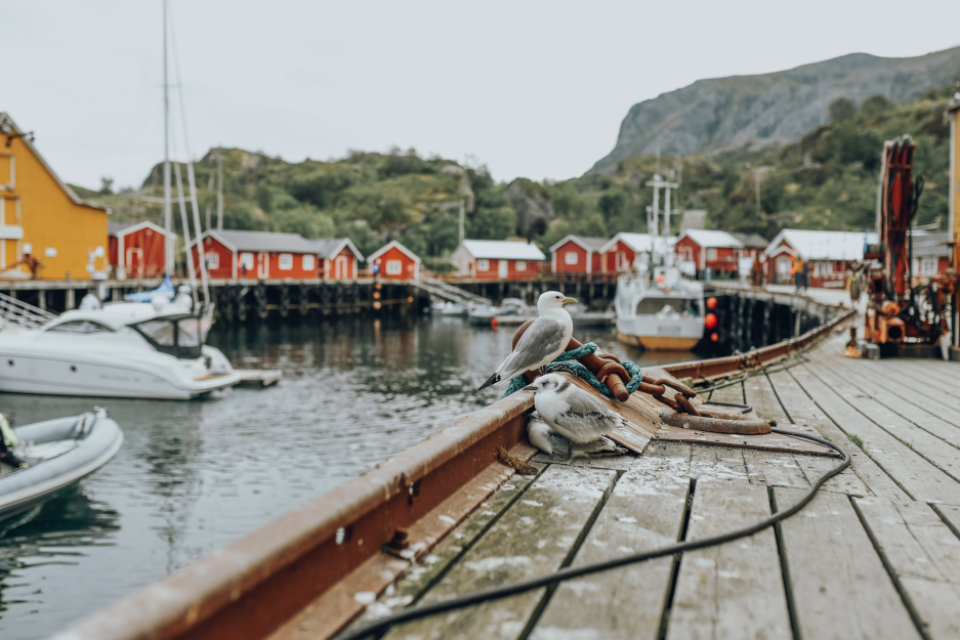 Norway Fishing