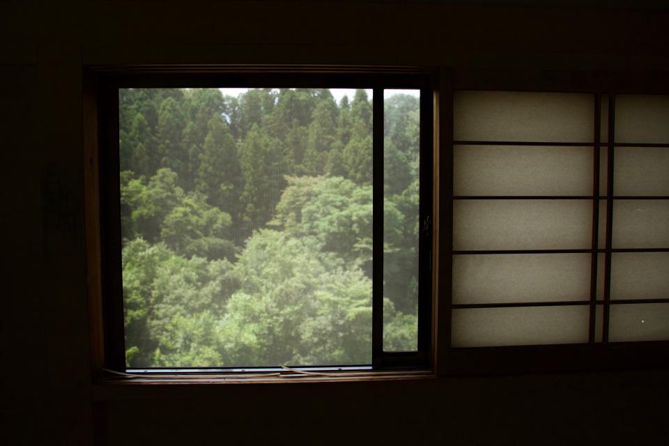 Window Nature
