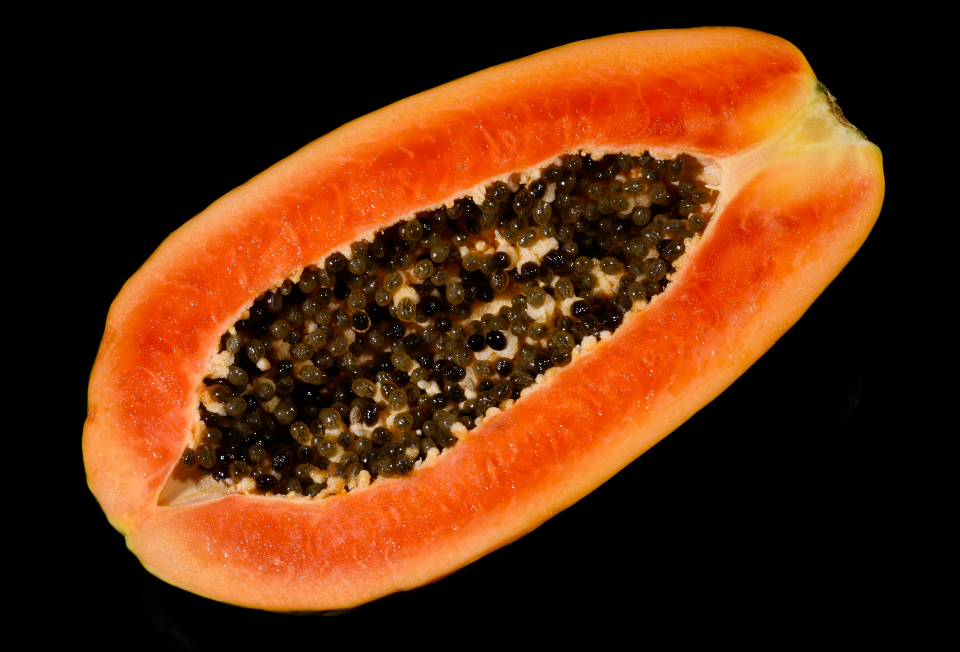 Fruit Papaya