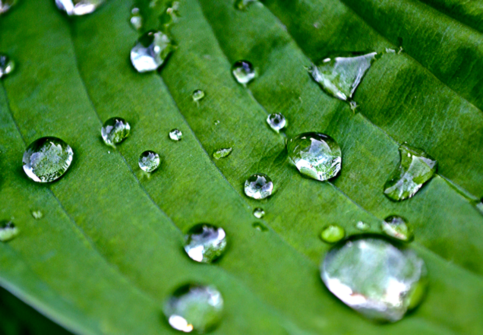 Droplets Water