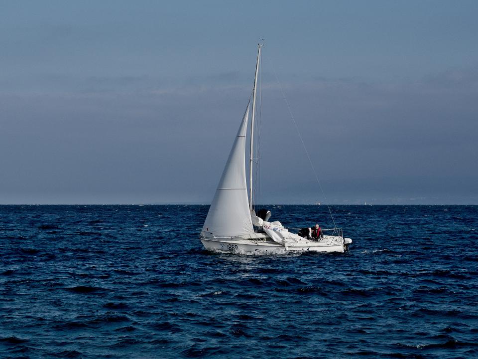 Sailboat Sailing