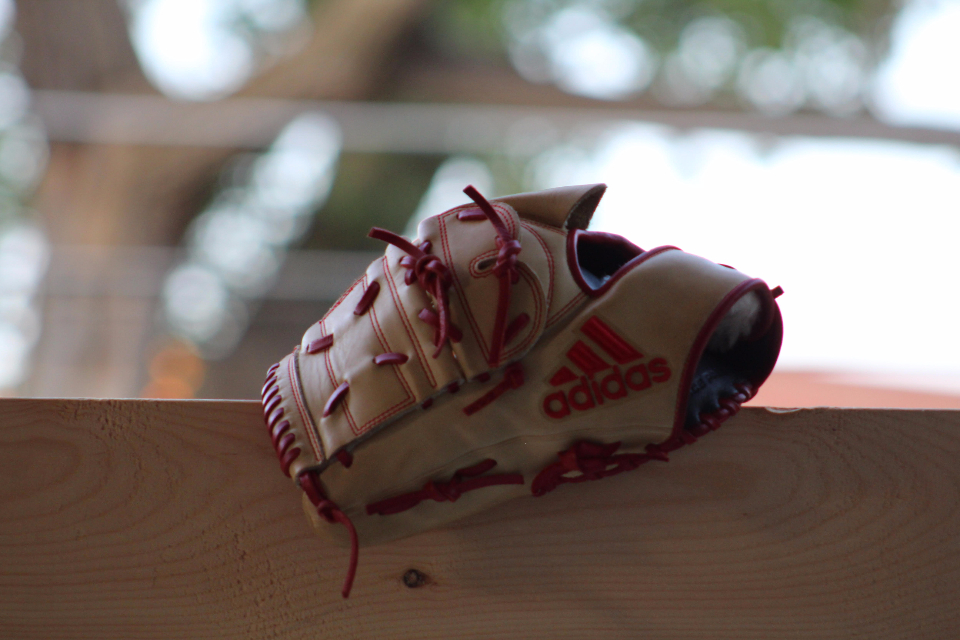 Baseball Baseball Glove