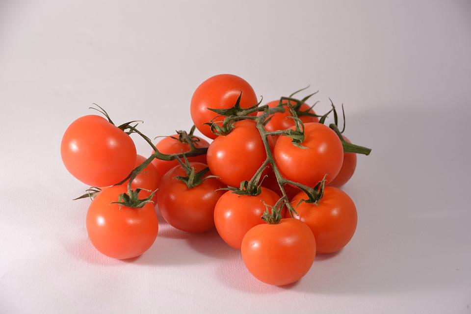 Tomato Vegetation