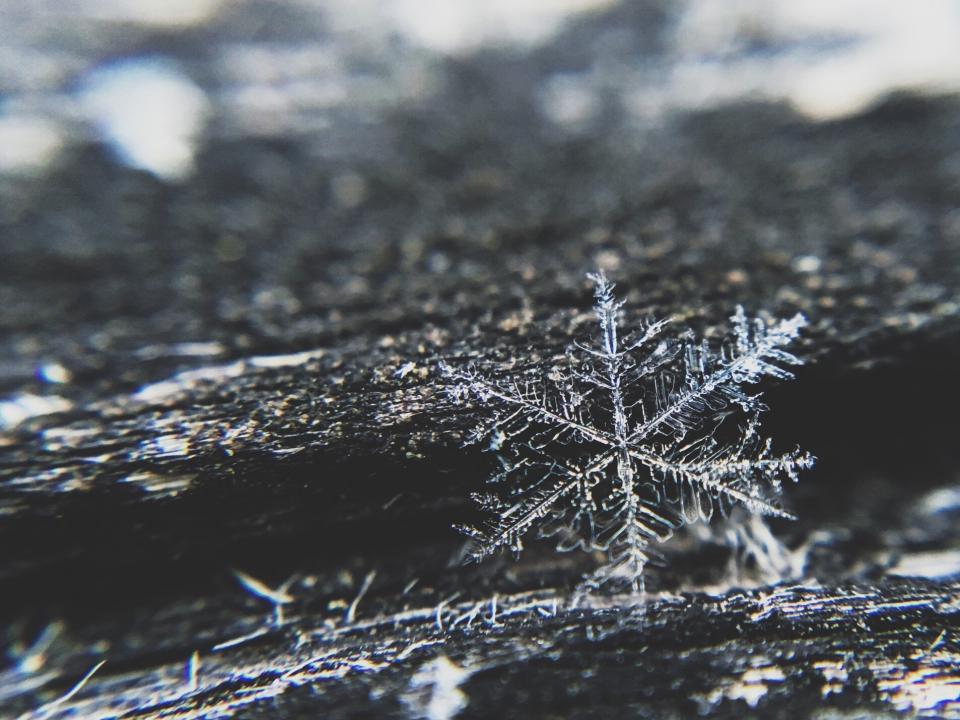 Snowflake Ice