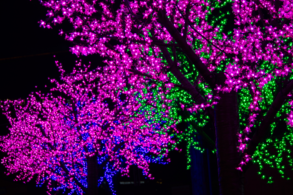 Colorful Lights