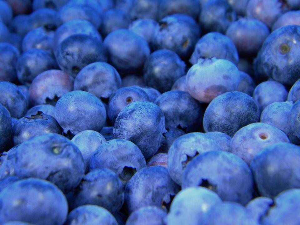 Blueberries Blueberry