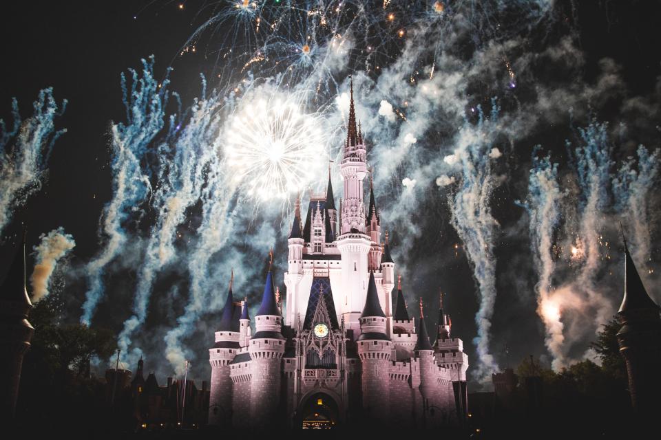 Disney Land Castle