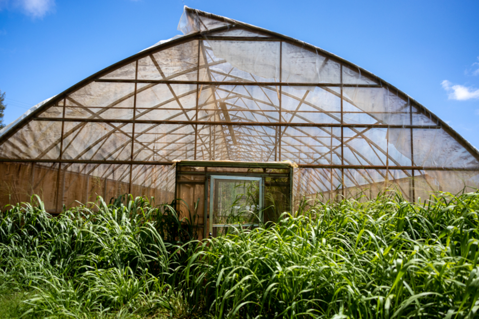 Farm Greenhouse