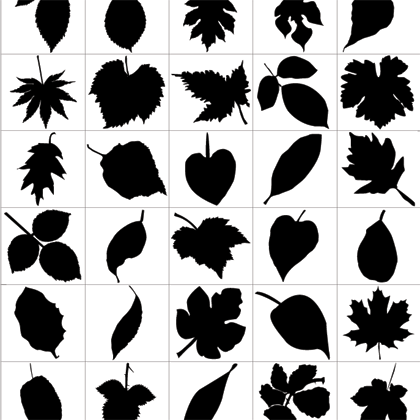 Leaf Silhouettes  - Free Vector Graphic