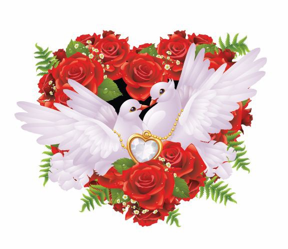 Roses and Pigeons Vector Illustration