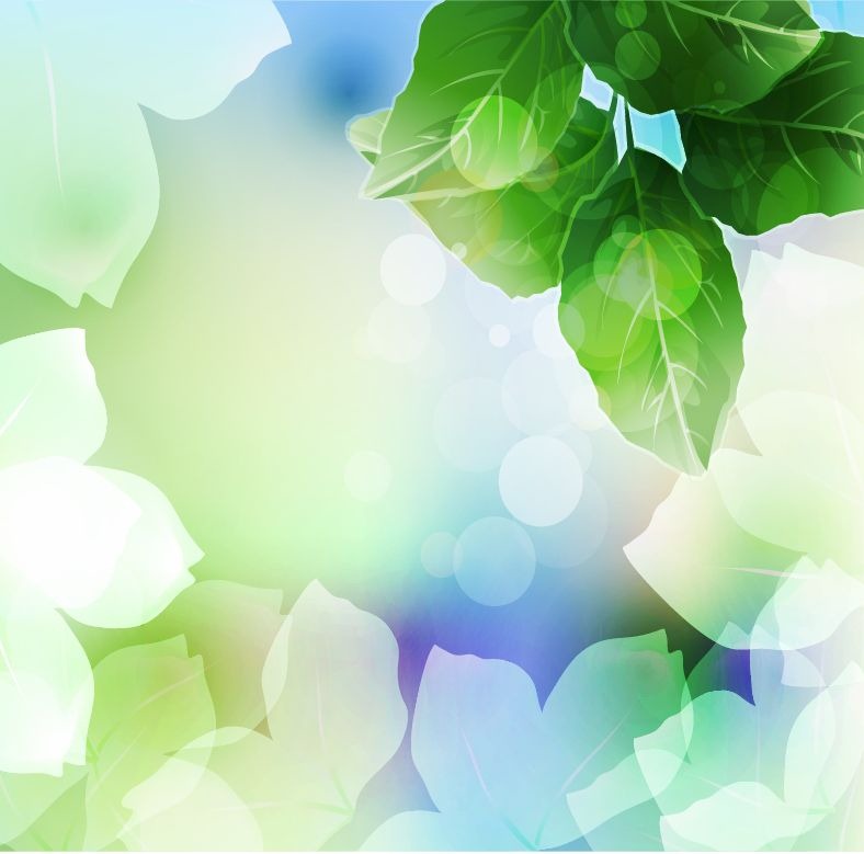 Beautiful Green Leaf Background Vector Illustration