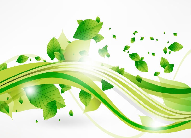 Vector Eco Leaves and Green Wave