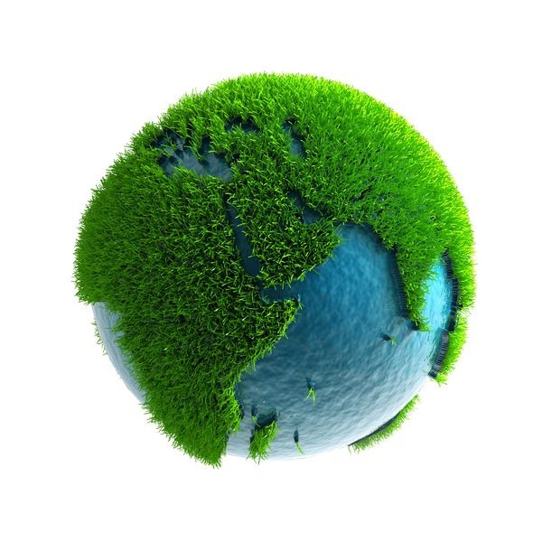Grass Covered Earth