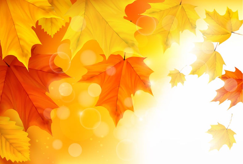 Autumn Maple Leaves Background Illustration Vector