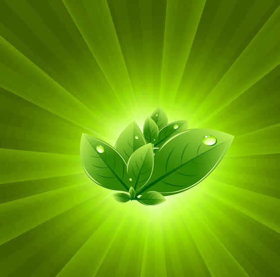 Leaves with Green Light Burst Vector Abstract Background